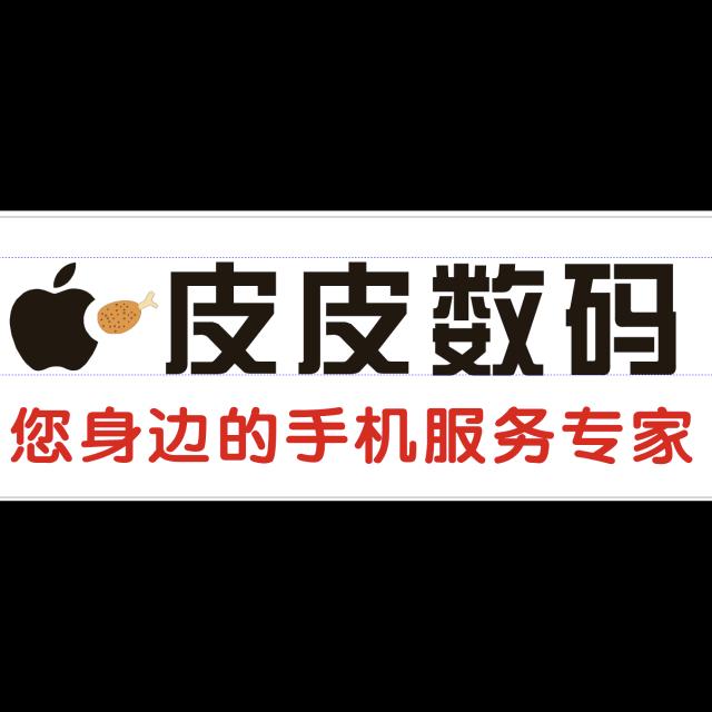 皮皮数码