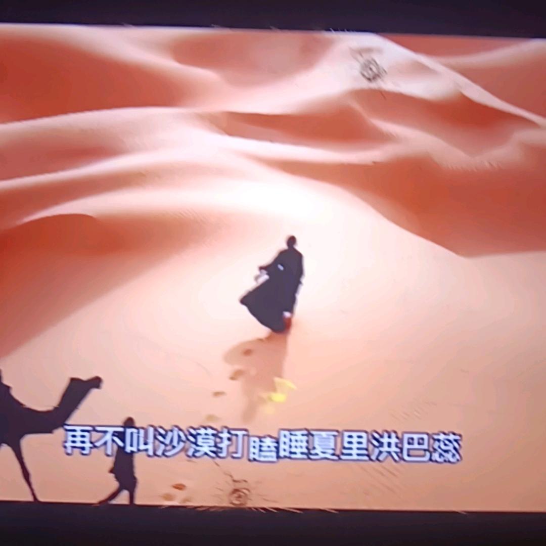 再不叫沙漠打瞌睡夏里洪巴蕊