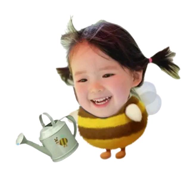 是山木不是土木