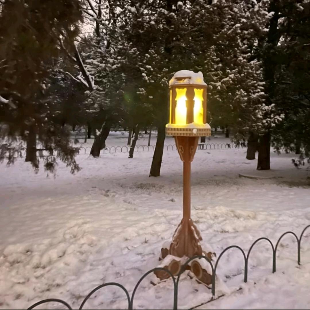 光 明 磊 羅❤️