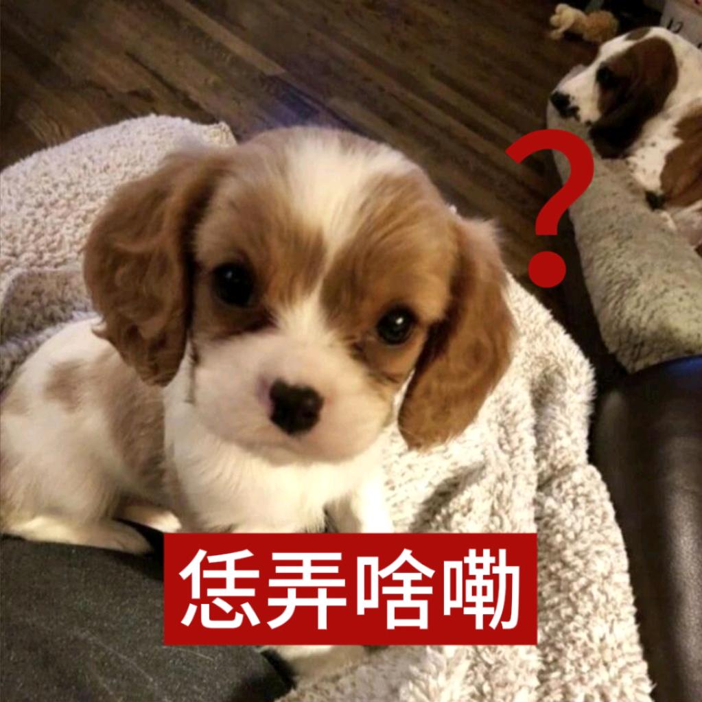 恁弄啥嘞