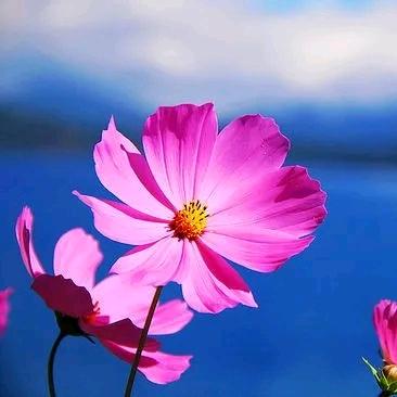 越来越好2018，6月