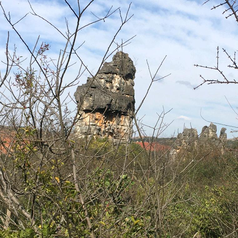 泸州麻雀饲料小哥