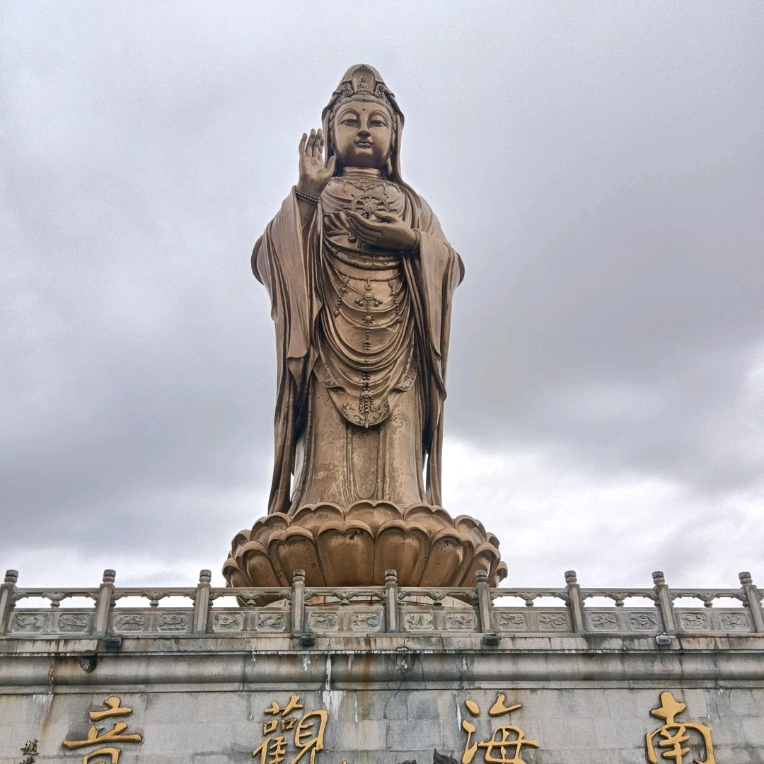 老香根
