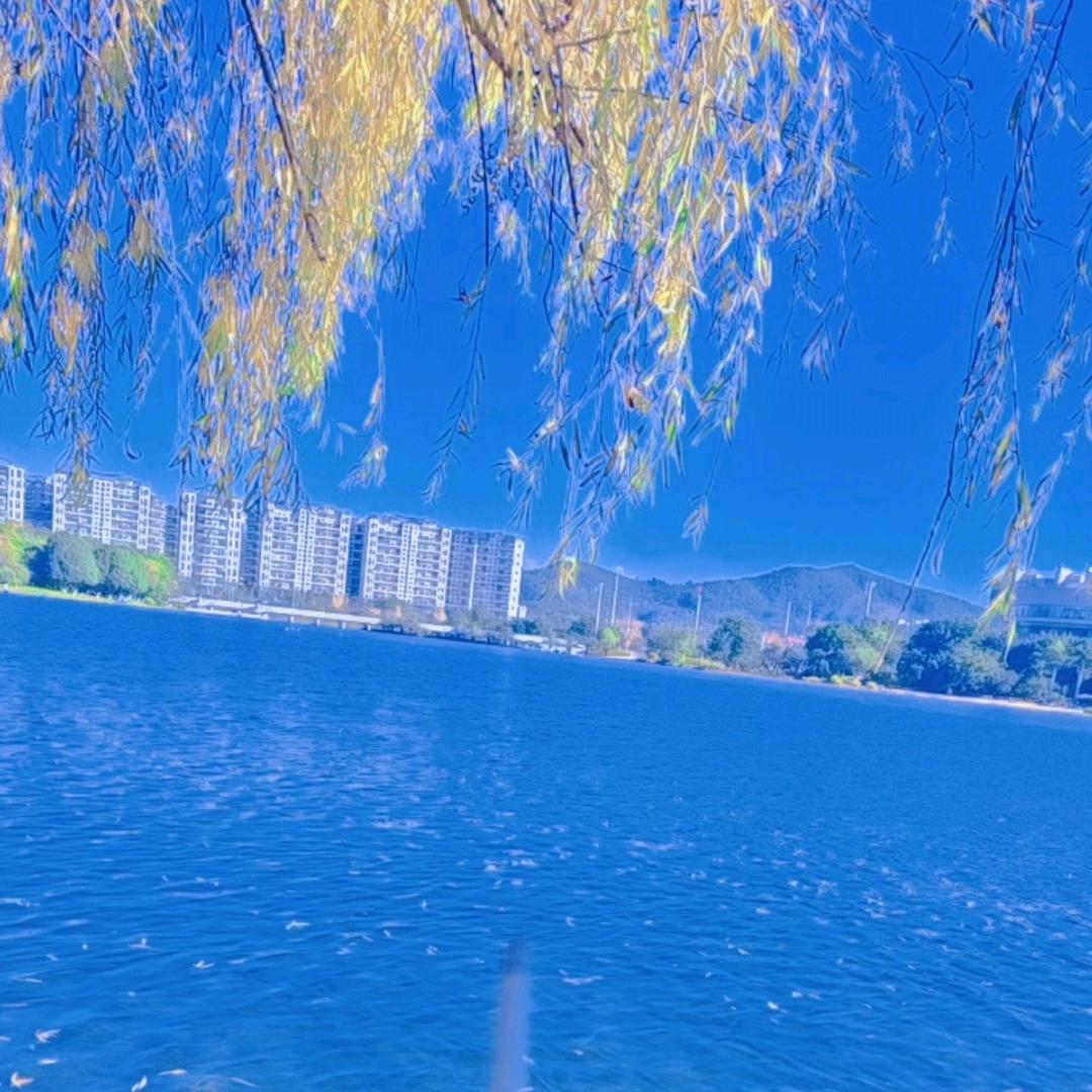 我在风中站了很久很久