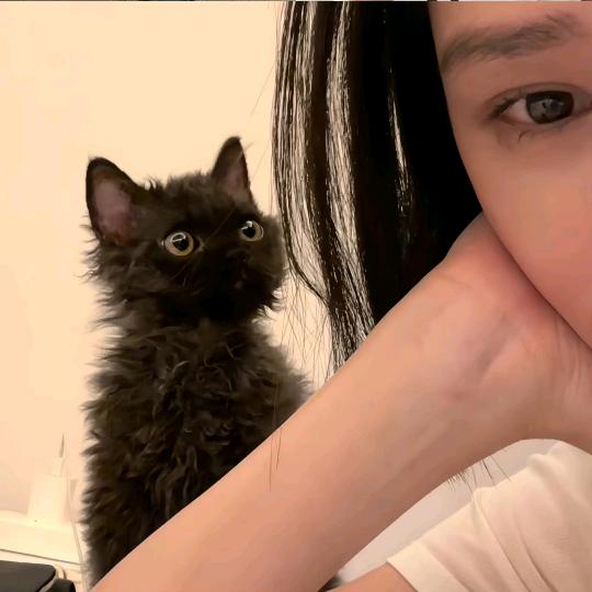 晚安小Y