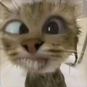 半夜喝瓶冰红茶发现味道不对