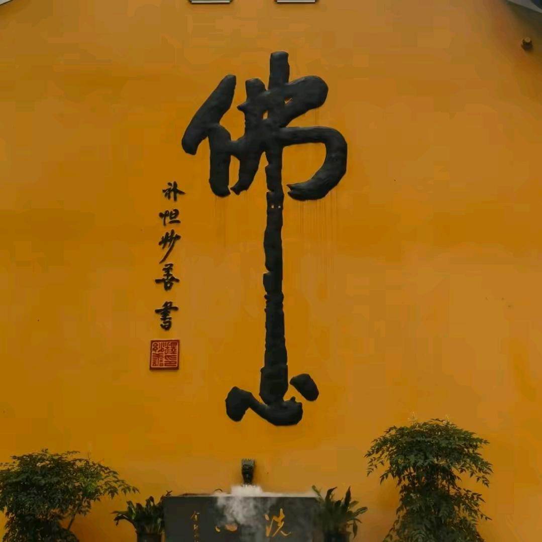 20吨成品油运输