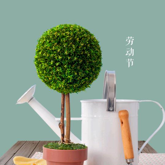 知足常乐，财源滚滚爱❤️