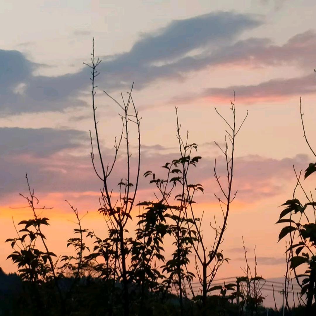 不远不近