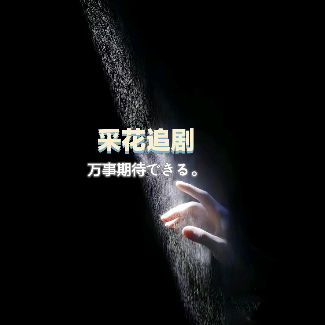 采花追剧