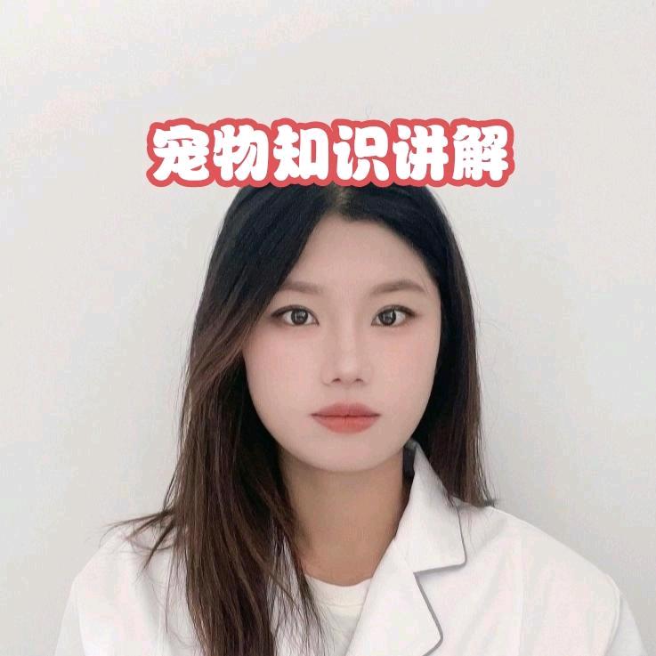 兽医动物猫狗萌宠用品（专注宠物猫狗问题）