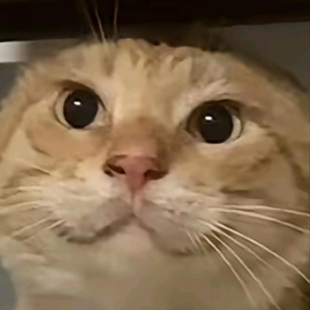 逆天