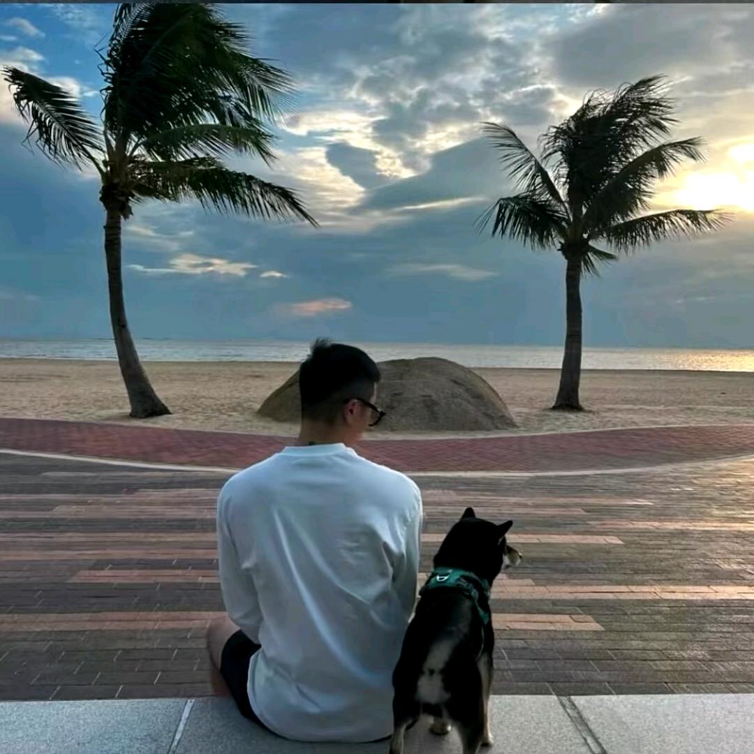 那片海🌊