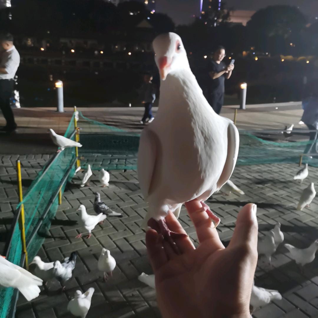 残留de烟草味