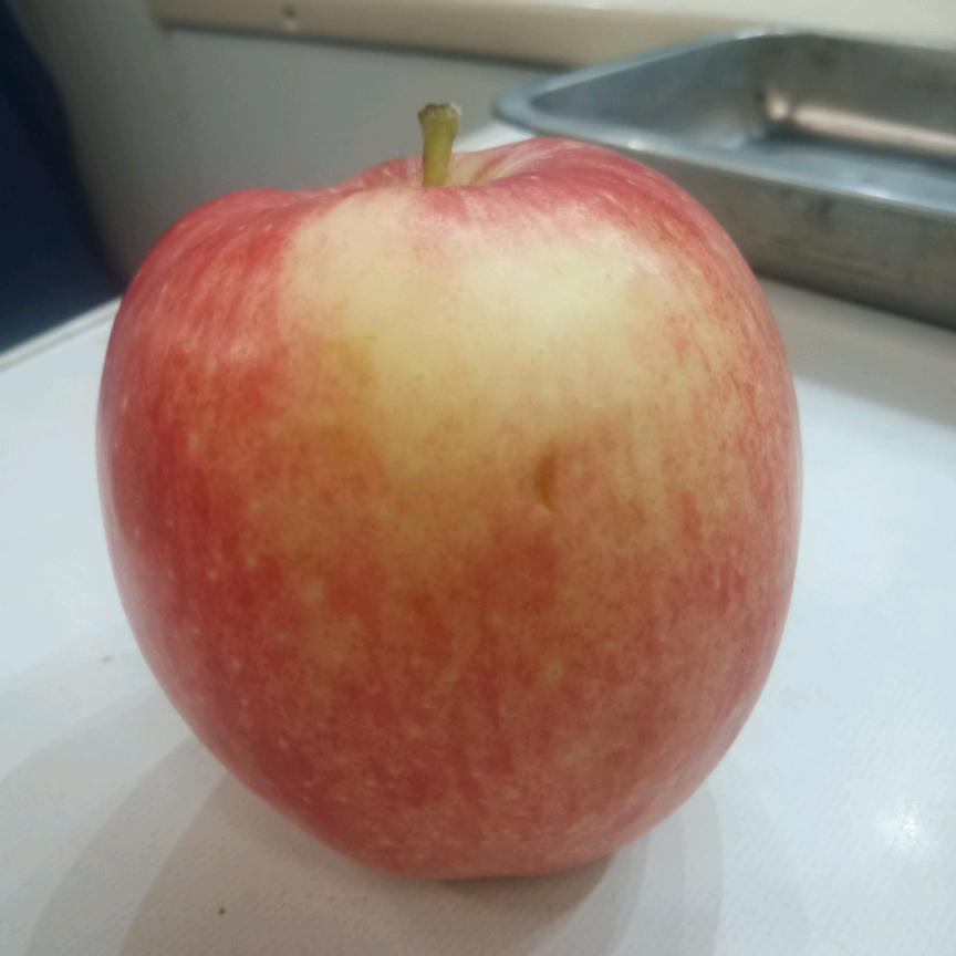 梦想启航