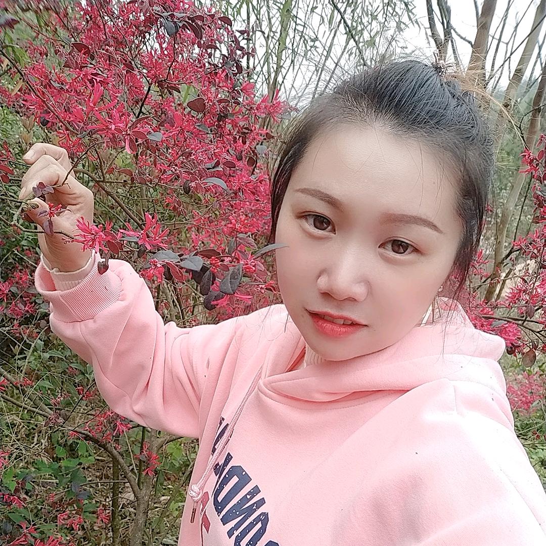 嘉丽