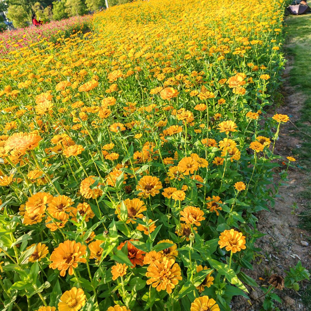 开心快乐每一天