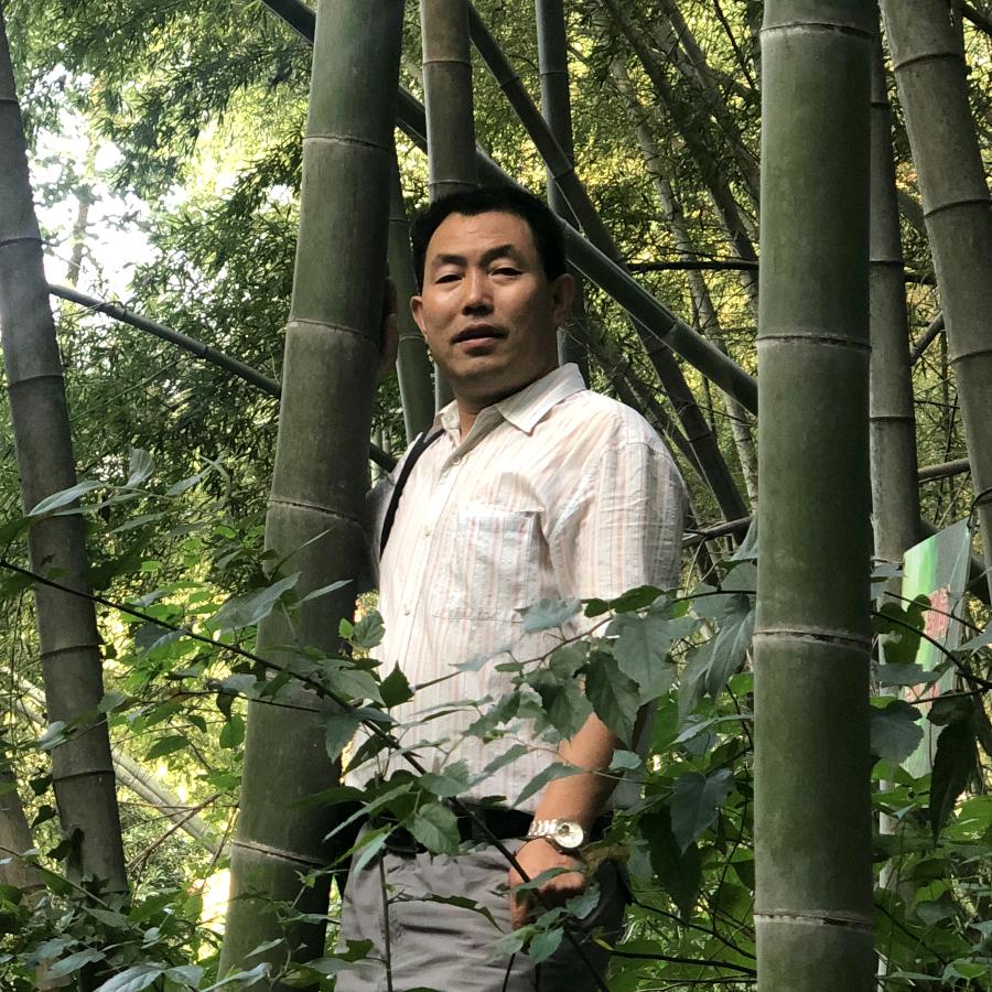 北方的狼