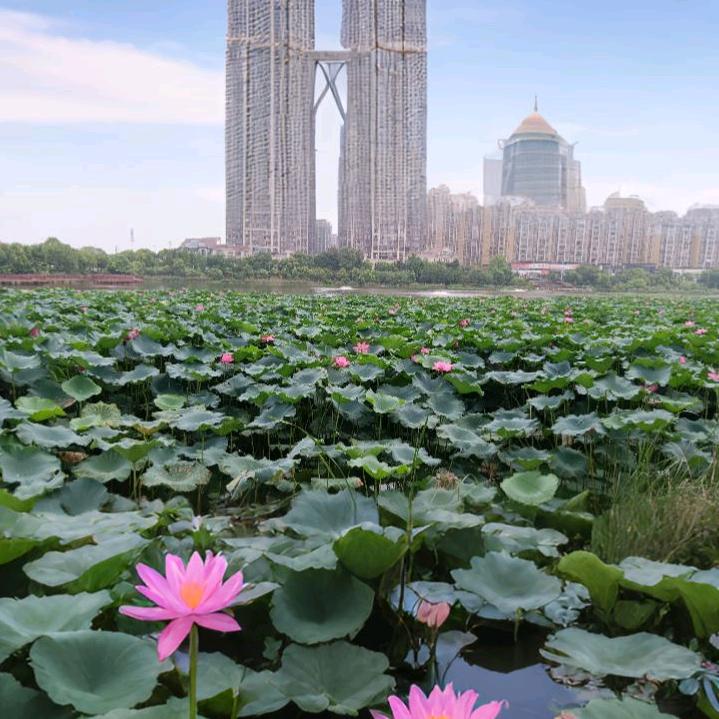 岁月静好