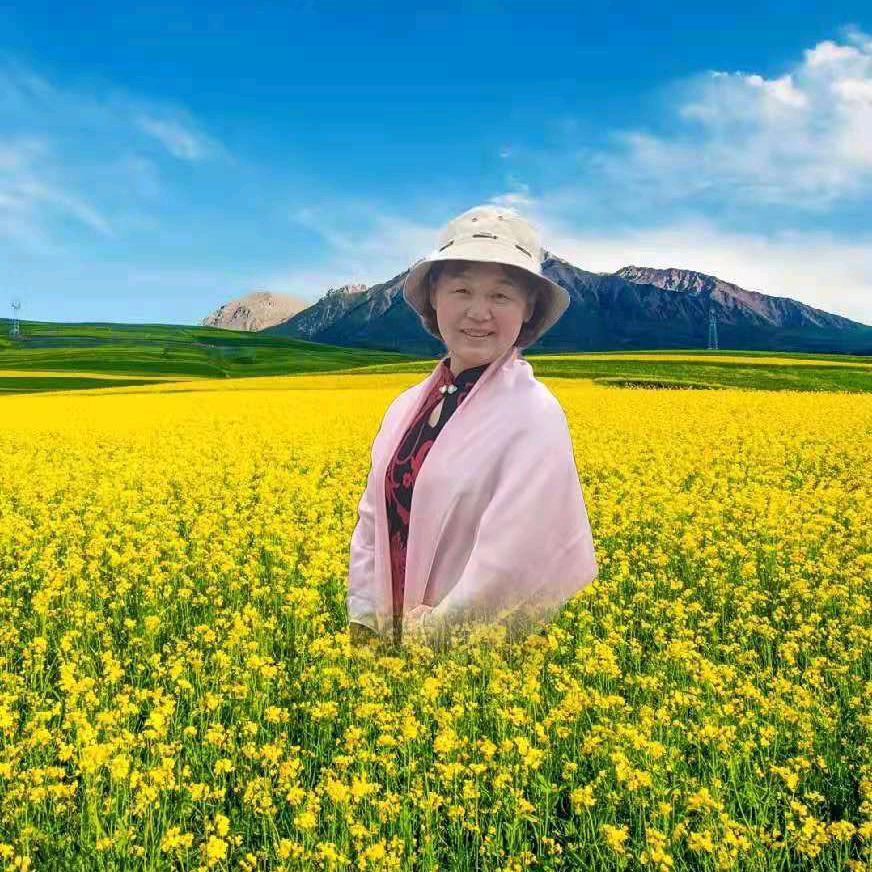 傲风凌