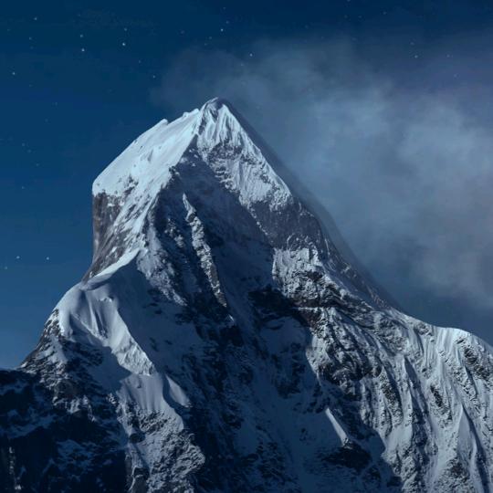 侍华奇百货商行