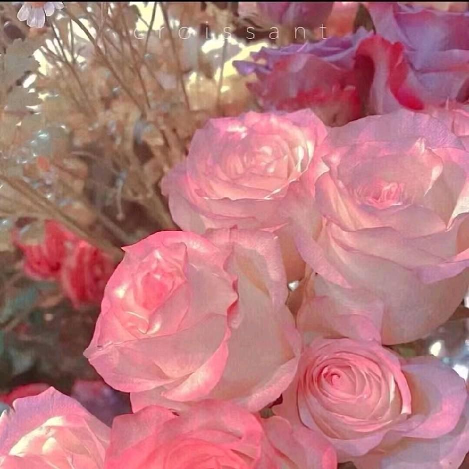 丽🌷