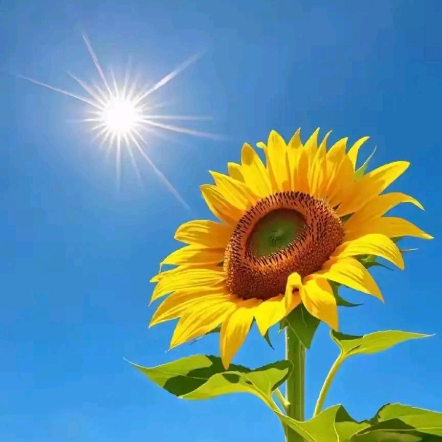 ꧔ꦿ᭄凉白开💞࿐ᩚ