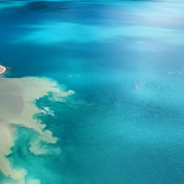 @世界和平🕊️🕊️🕊️