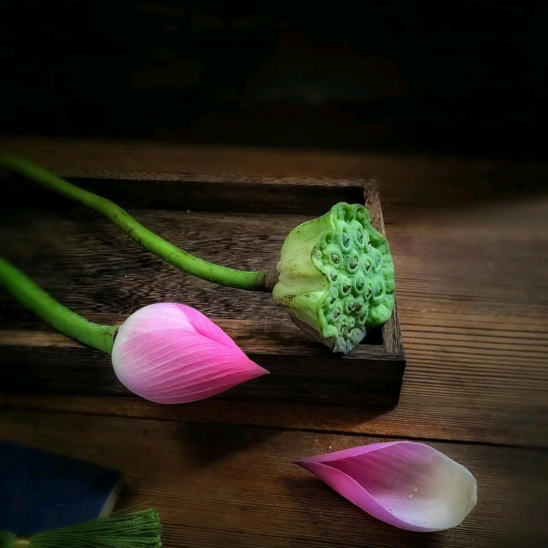 甜麦茶
