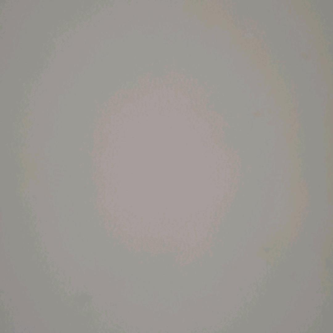 人生如戏全靠演技