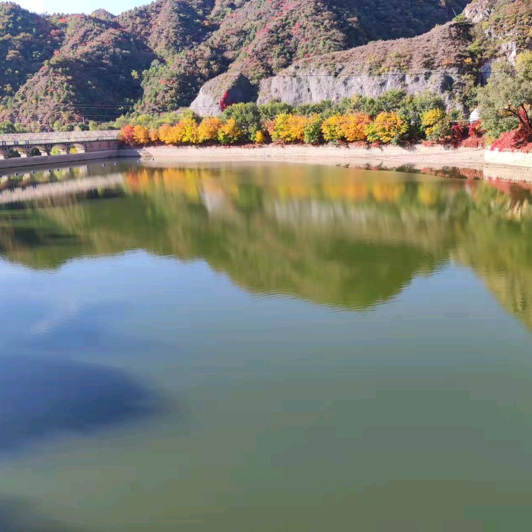 闫岩