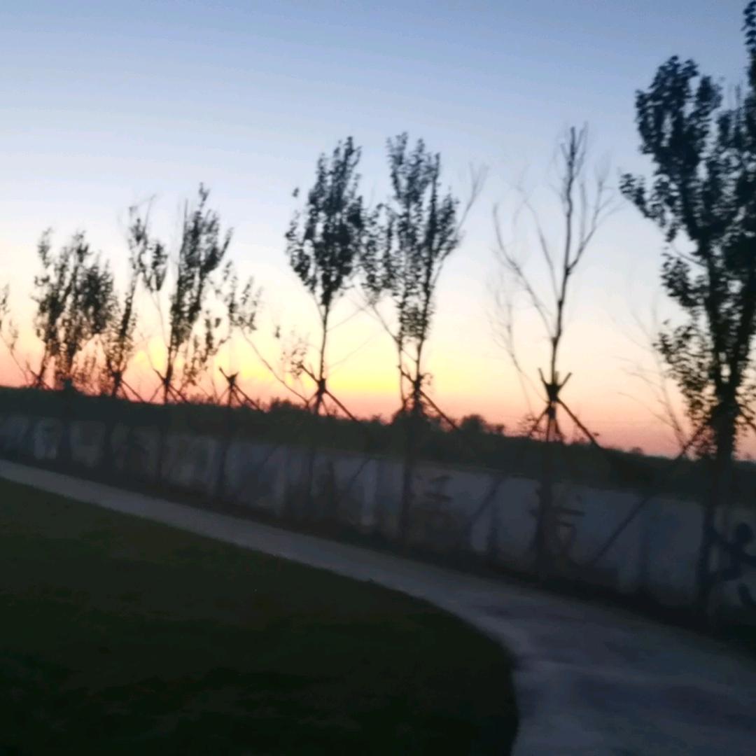 诸事皆宜