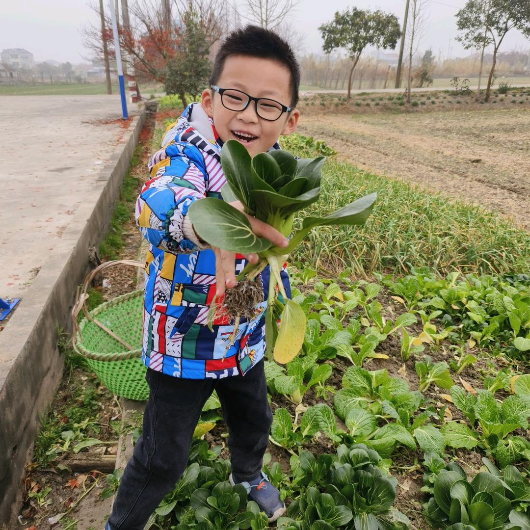 迷茫
