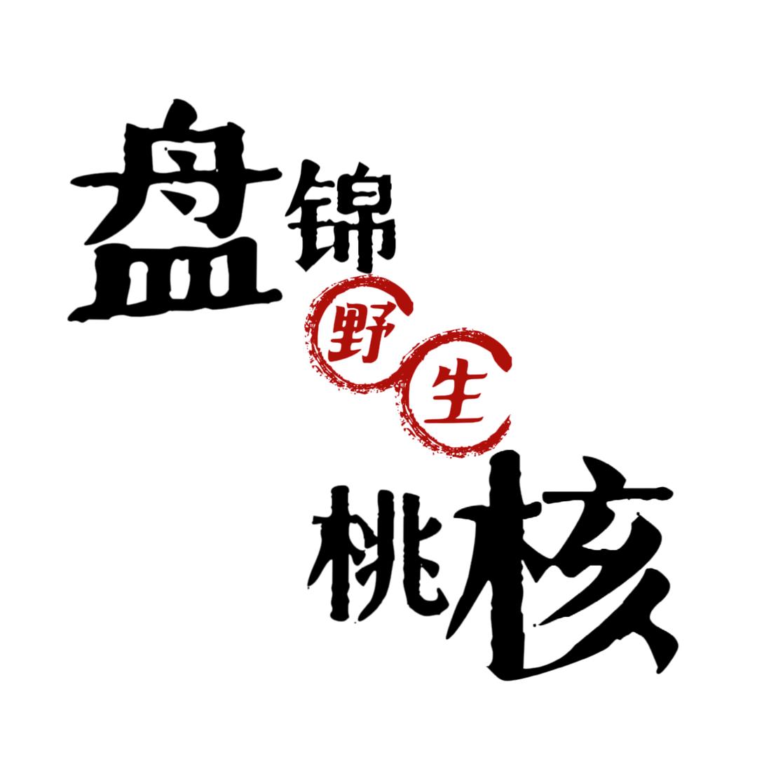 盘锦野生桃核📿