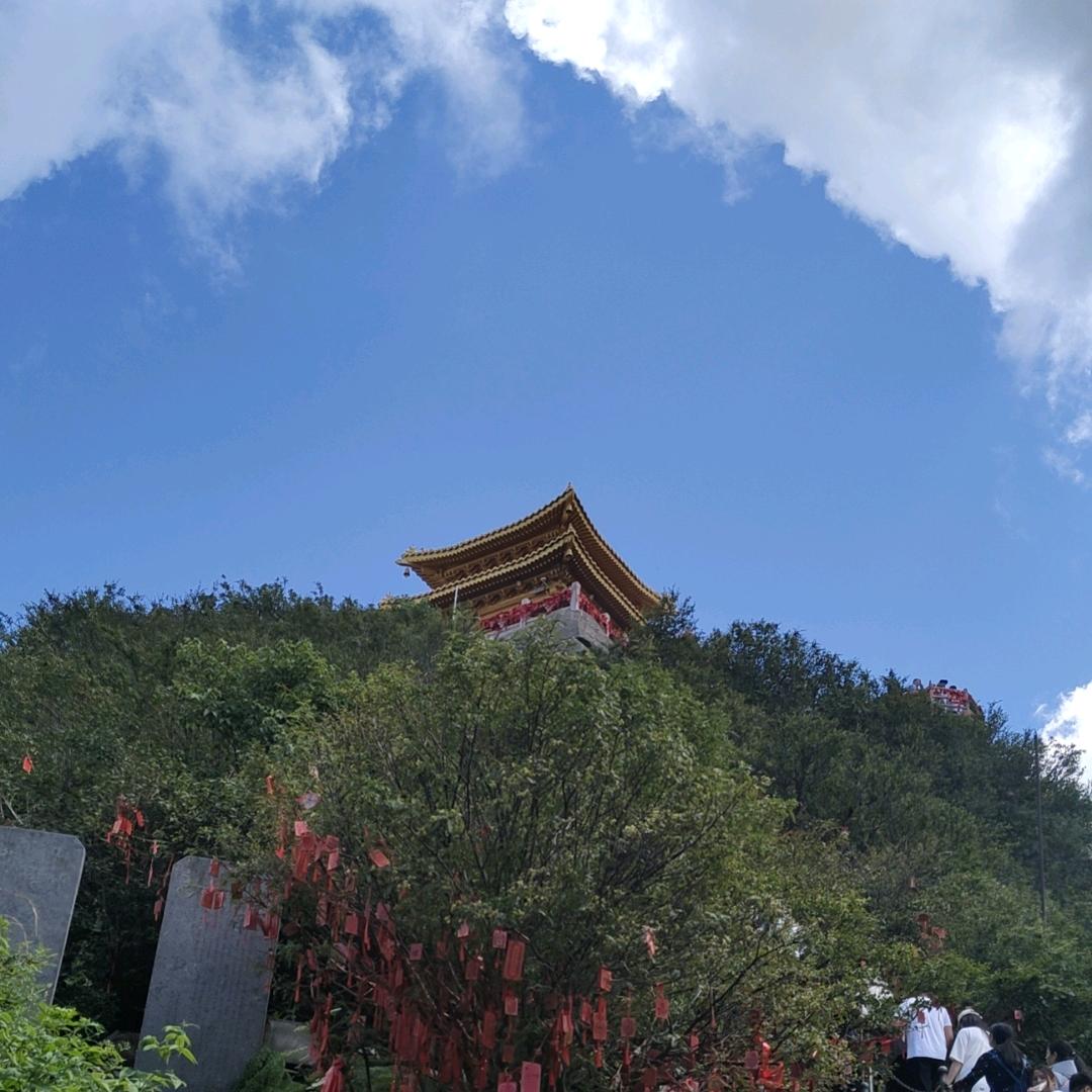 鹿邑羊肉批发