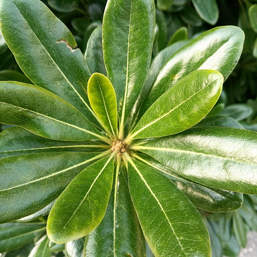 为自己而活