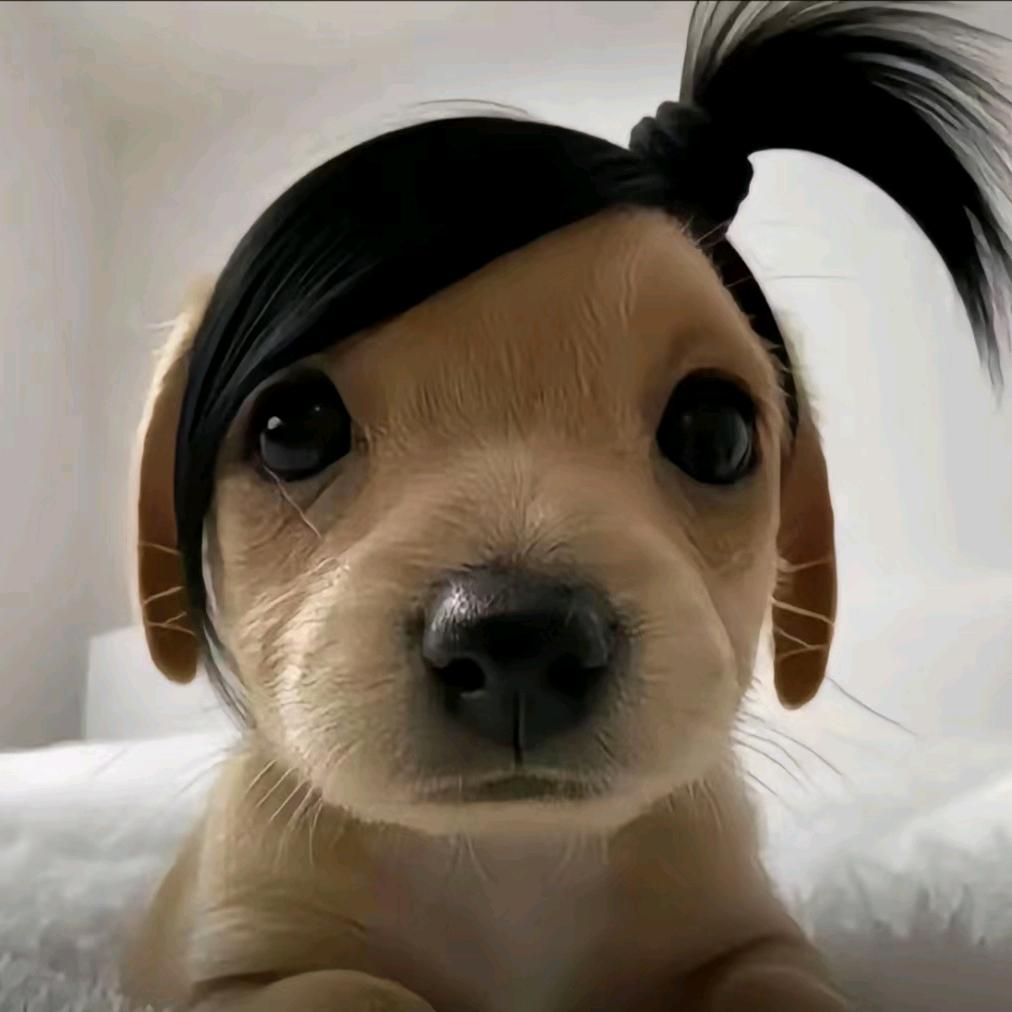 春日近