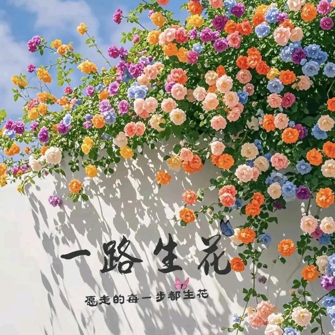 三水西南玖创整装燕子