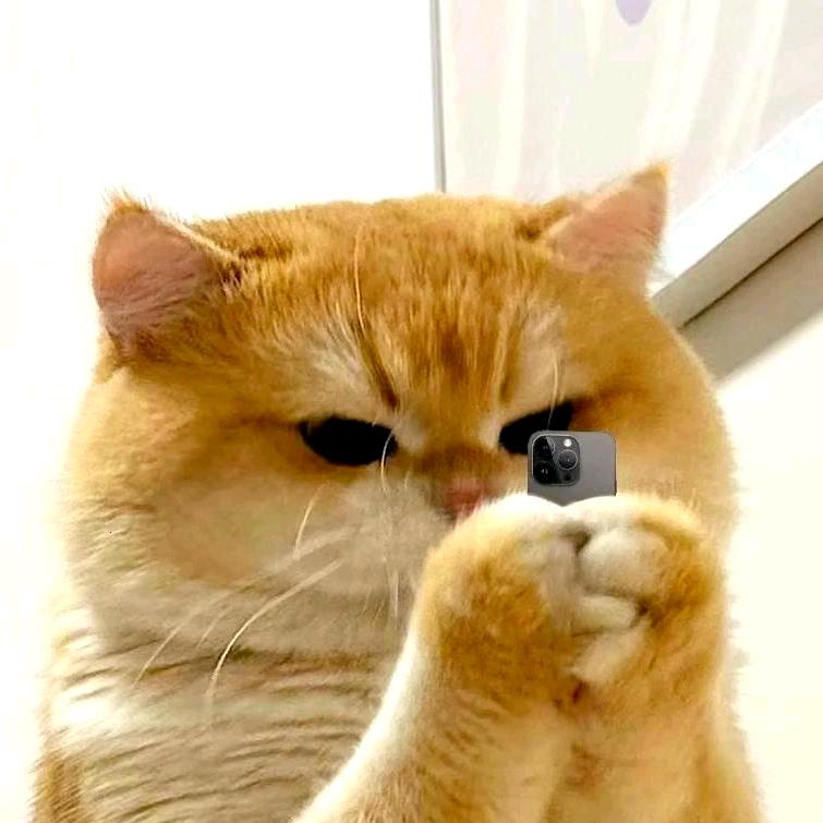人生就像打电话🍭