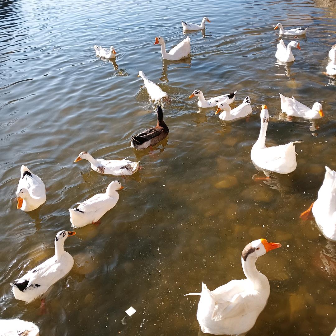 风里雨里在等你
