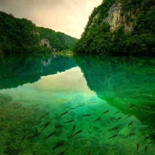 山青水秀