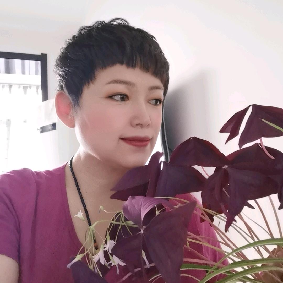豆妈短视频