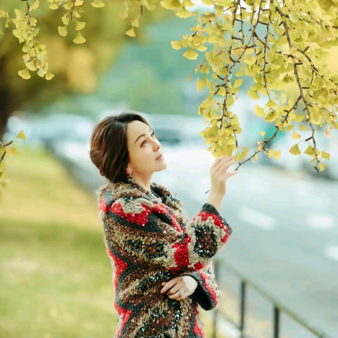 雪姨王琳（轻奢女装）