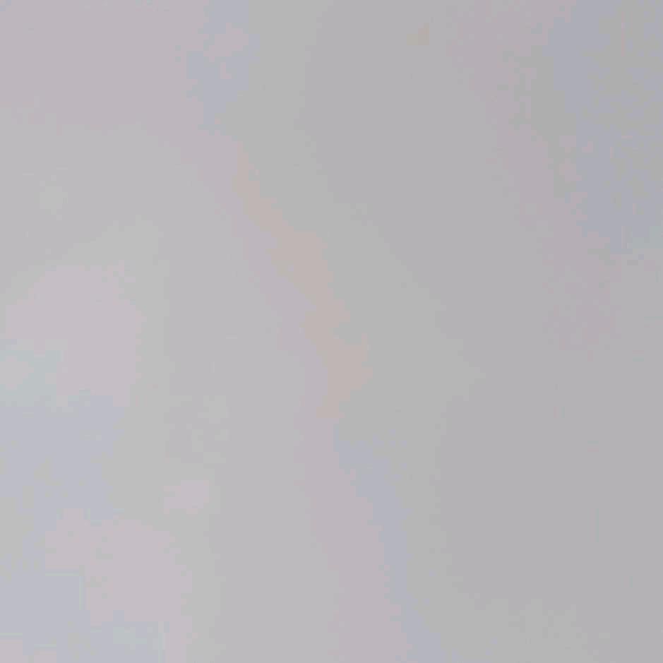 梧桐霸王当孤寡