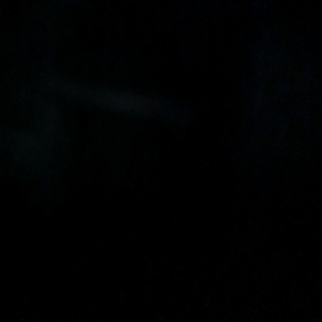 元元元