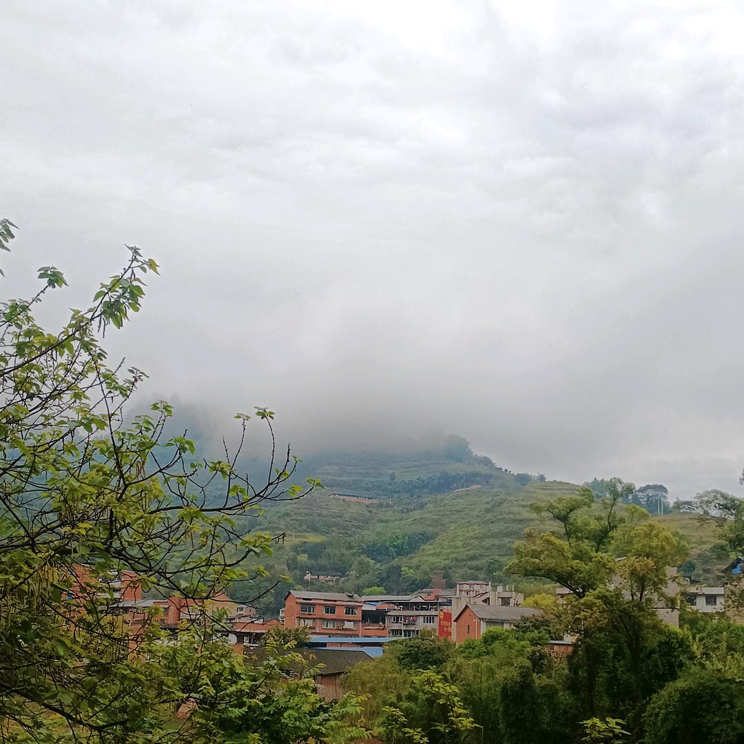 馅饼