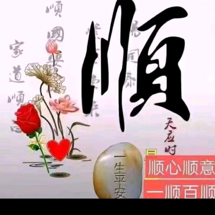 杨总