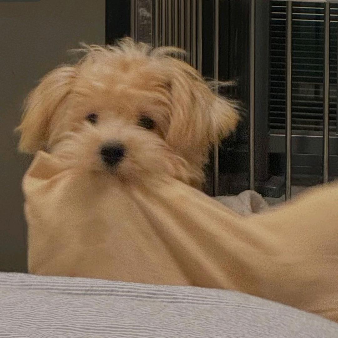 盛满意吖❤
