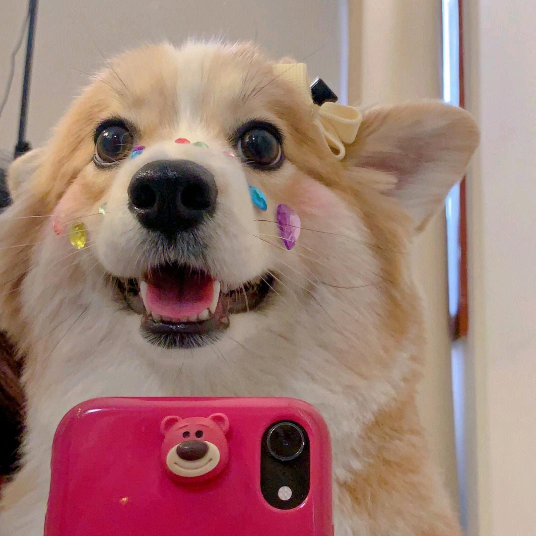 小鱼